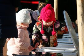 Poep ZOO DierenPark Amersfoort